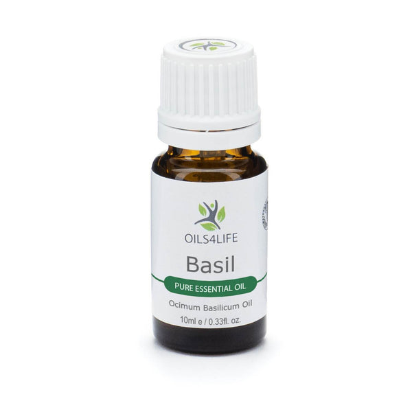Basil essential oil bottle with fresh basil leaves – Oils4life pure methyl chavicol chemotype