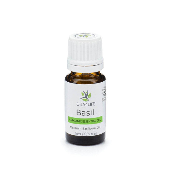 Basil essential oil bottle with fresh basil leaves – Oils4life pure methyl chavicol chemotype