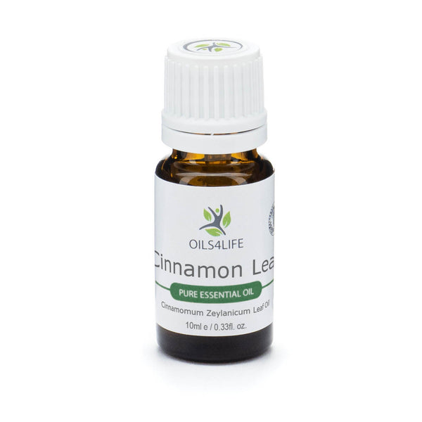 Cinnamon essential oil bottle with cinnamon sticks – Oils4life pure Cinnamomum zeylanicum oil