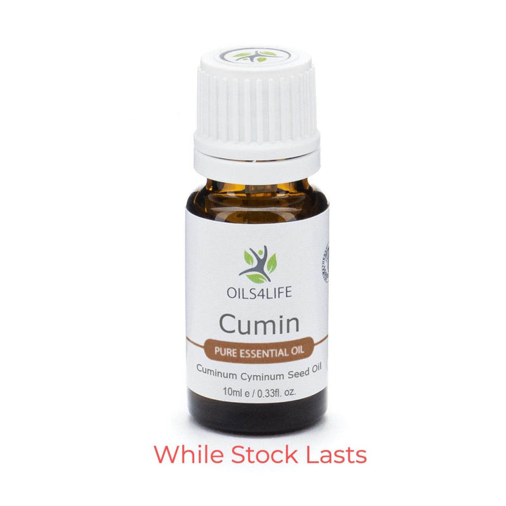 Cumin essential oil bottle with cumin seeds – Oils4life pure Cuminum cyminum oil.