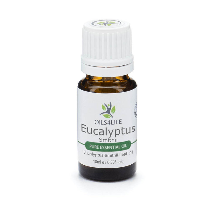 Eucalyptus Smithii essential oil bottle with fresh eucalyptus leaves – Oils4life pure Eucalyptus smithii oil.
