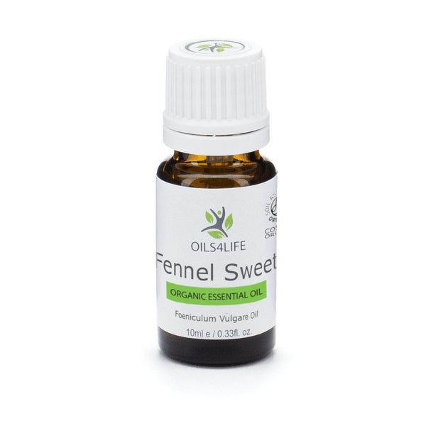 Fennel Sweet essential oil bottle with fennel seeds and flowers – Oils4life pure Foeniculum vulgare oil.