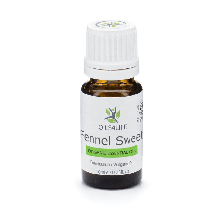 Fennel Sweet essential oil bottle with fennel seeds and flowers – Oils4life pure Foeniculum vulgare oil.