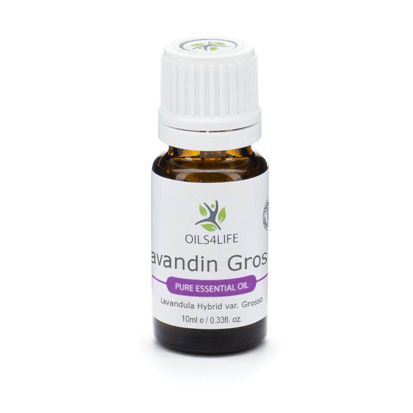 Lavandin essential oil bottle with lavender sprigs – Oils4life pure Lavandula hybrida oil.