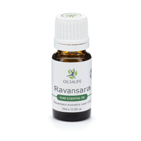 Ravintsara Essential Oil bottle with green camphor leaves on a white background