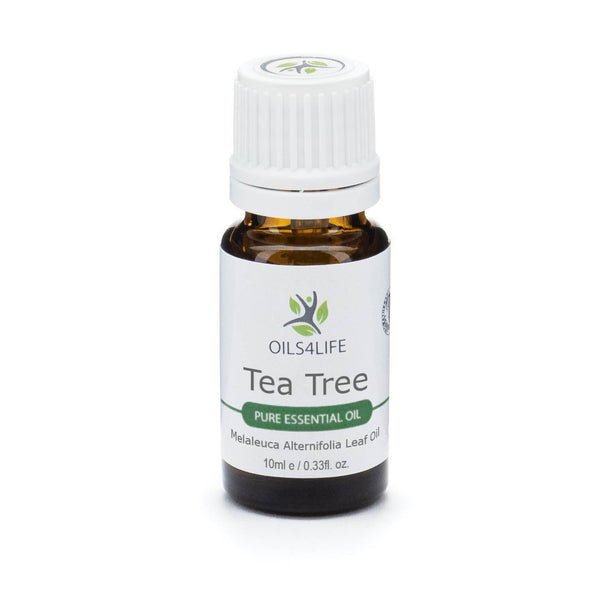 Tea Tree Essential Oil bottle surrounded by fresh tea tree leaves on a clean white background