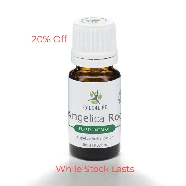 Angelica Root Essential Oil - Angelica Archangelica - Oils4Life