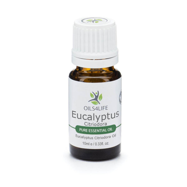 Eucalyptus Lemon Essential Oil, Citriodora - Eucalyptus Citriodora Oil - Oils4Life